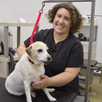 Full-service pet grooming