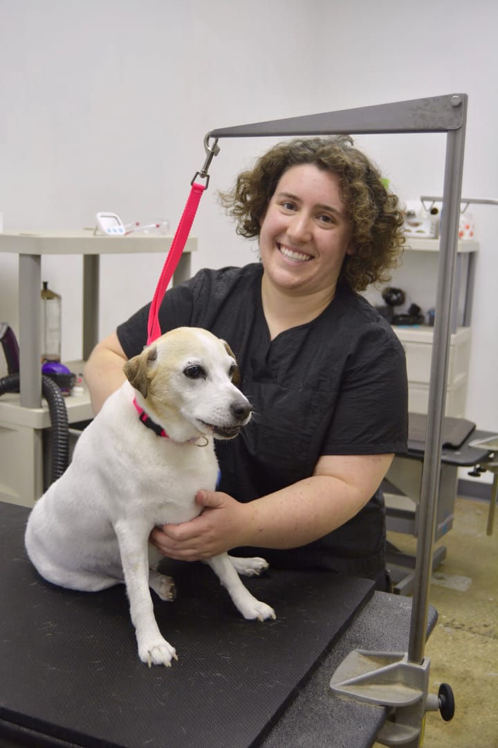 Full-service pet grooming